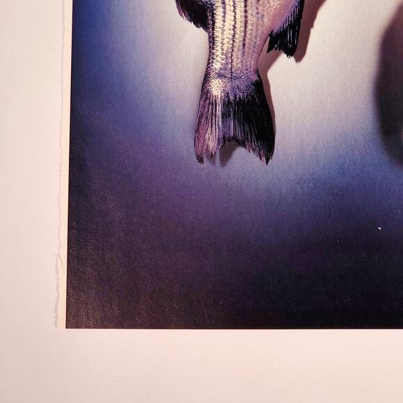 Nike AirDeschutz VIII "Separated At Birth" Print Ad 2000 Maxim Magazine 8.5"x11" - Picture 4 of 5